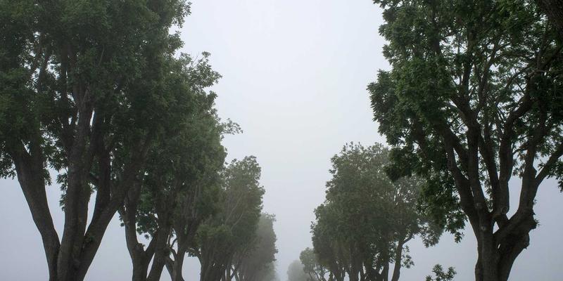 Permatang Pauh67：探索马来西亚生活、旅行与美食的独特窗口