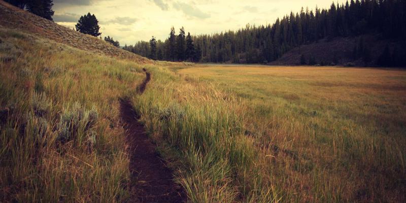 Permatang Pauh深度游:探索马来西亚槟城的隐秘美食与文化瑰宝