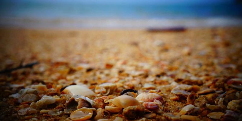 Permatang Pauh的美食与文化：一窥马来西亚的生活精髓