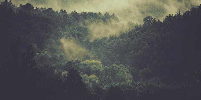 从厨房到社区：Permatang Pauh妇女如何塑造马来西亚的在地生活与美食旅游