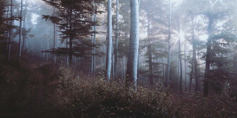 探秘槟城峇东埔：穿越马来西亚文化、历史与美食的时光之旅