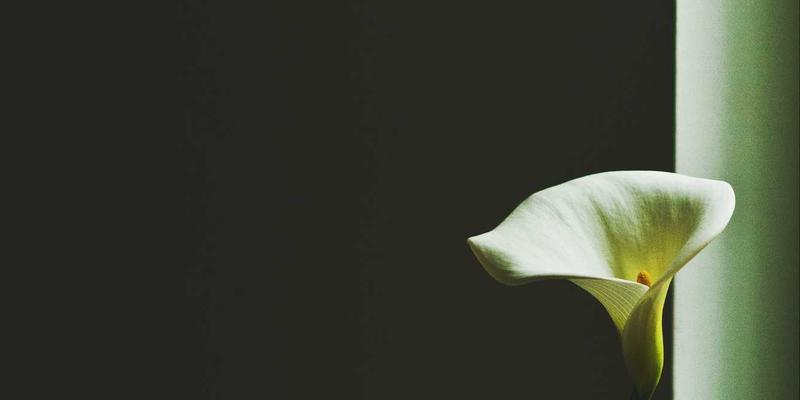 探索Permatang Pauh：马来西亚半岛的隐秘瑰宝与生活真谛