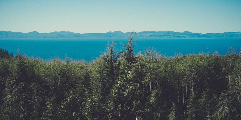 探索槟城秘境：Permatang Pauh66，东南亚旅游的隐藏瑰宝