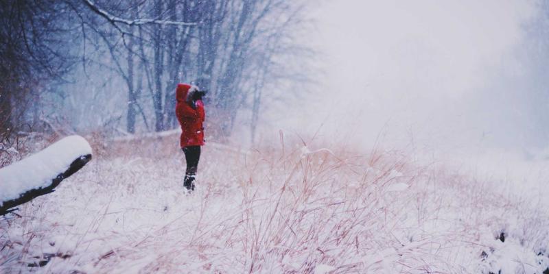 探索槟城秘境:Permatang Pauh,在马来西亚旅居的深度体验