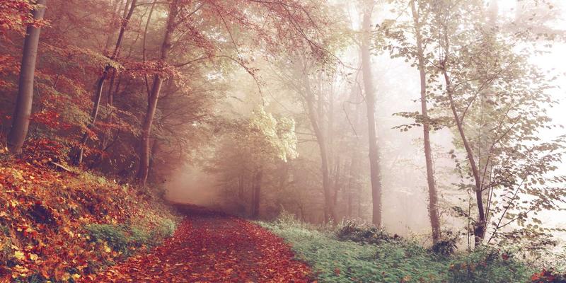 槟城Permatang Pauh中小微企业生态研究：从家庭作坊到电商转型的文化传承与数字机遇