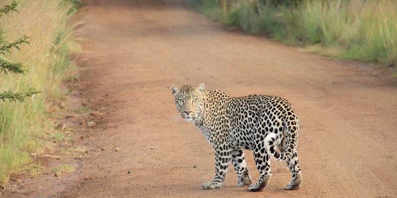 槟城Permatang Pauh探秘：家族生意与创新初创如何共塑马来西亚生活与旅居魅力