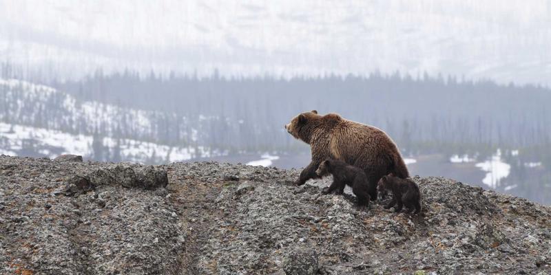 槟城Permatang Pauh银发生活：从美食文化看东南亚旅游地的社区养老新模式