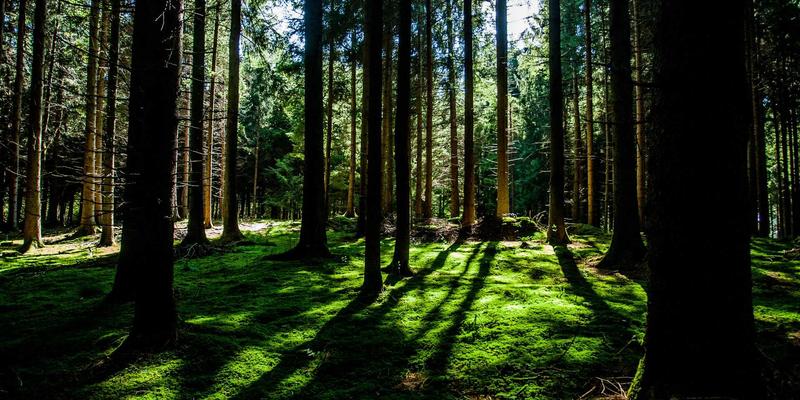 槟城峇东埔青年政治参与调查：透视马来西亚文化与东南亚旅游热点的社会脉动