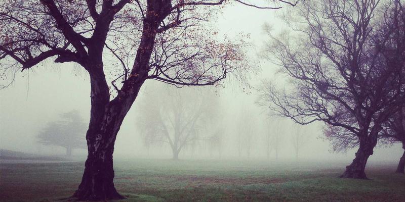 槟城秘境：探索Permatang Pauh的历史足迹与美食之旅