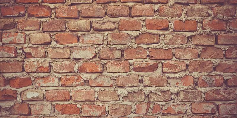 骑行槟城乡村秘境：探索Permatang Pauh的稻田风光、自然生态与地道马来西亚美食文化